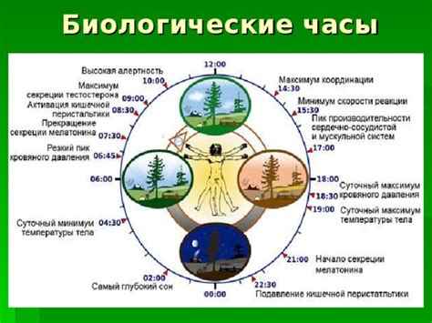 Влияние веры на веру и жизнь человека