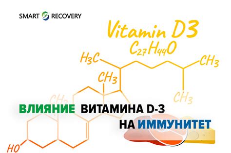 Влияние витамина Д на иммунную систему