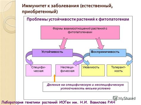 Влияние внешних факторов на отношение к имени