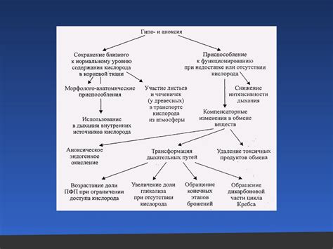 Влияние внешних факторов на процесс свечения