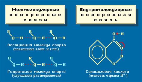 Влияние водородных связей на структуру белков и нуклеиновых кислот