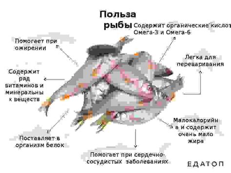 Влияние выбора рыбы на личность