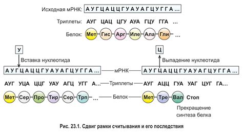 Влияние генетического кода на потомство