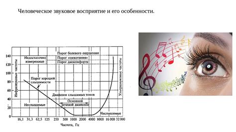 Влияние герц в аудиофайлах на звуковое восприятие человека