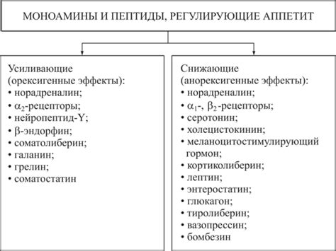 Влияние грелина на аппетит