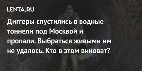 Влияние диггеров на общество и политику