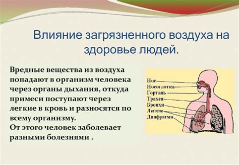 Влияние загрязненного воздуха на органы дыхания и возможные последствия