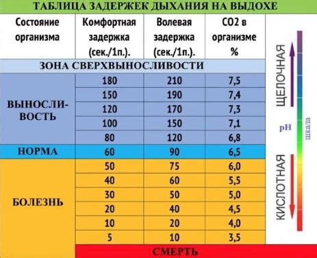 Влияние задержки дыхания на пульс