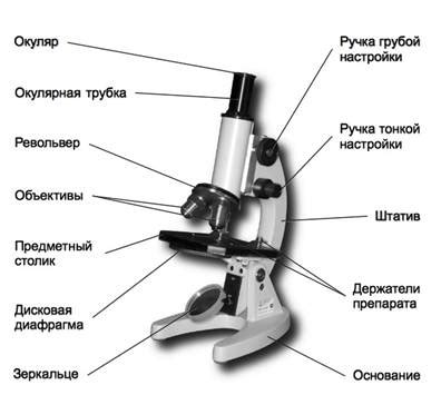 Влияние зеркала в световом микроскопе