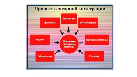 Влияние интеграции и дифференциации на развитие общества