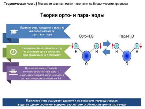 Влияние логоса на биологические процессы