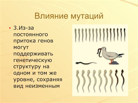 Влияние мутаций на первичную структуру