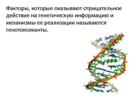 Влияние на генетическую информацию