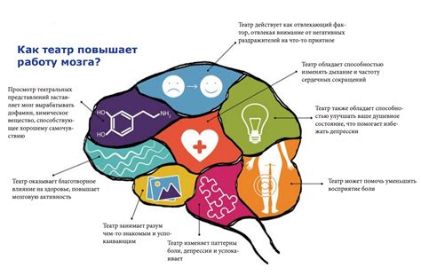 Влияние на работу мозга