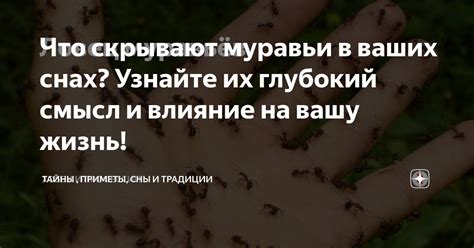 Влияние на смысл и ударение