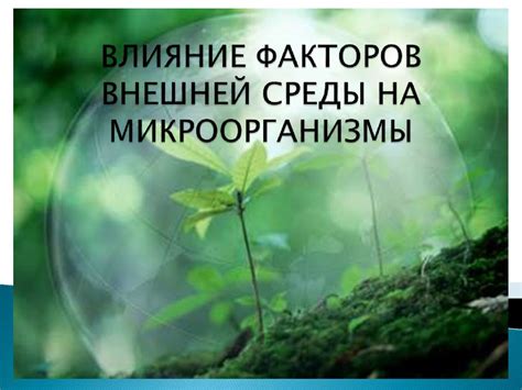 Влияние окружающей среды на способность ДНК к самоудваиванию