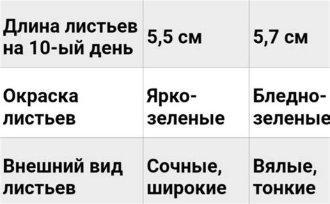 Влияние основного конфликта на развитие сюжета