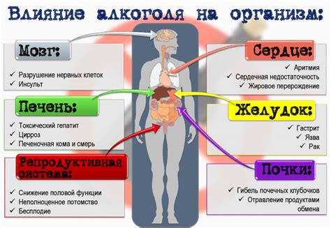 Влияние ошибок в митозе на организм