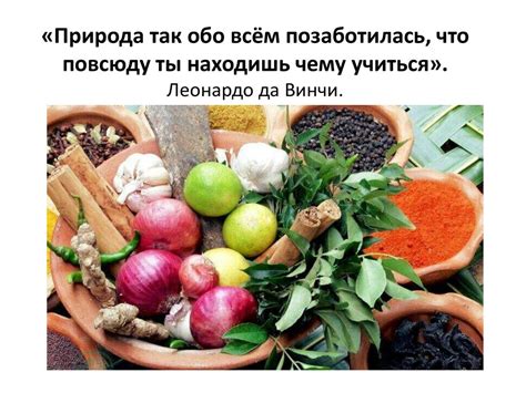 Влияние пищевых продуктов на запах дома