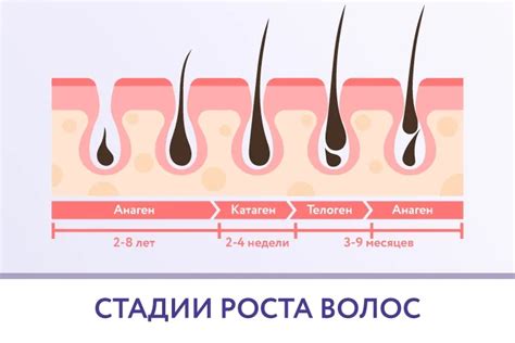 Влияние побритых ног на рост волос и текстуру кожи