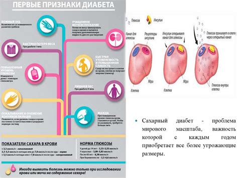 Влияние повышенного уровня сахара на организм