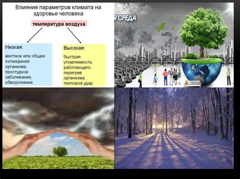 Влияние погоды на здоровье растения