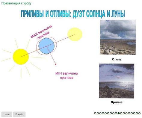 Влияние приливов и отливов на животный мир