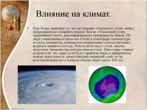 Влияние природных факторов на длительность срока службы дерева