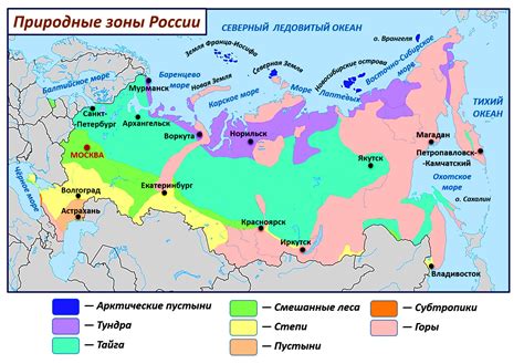 Влияние растительности на природные зоны