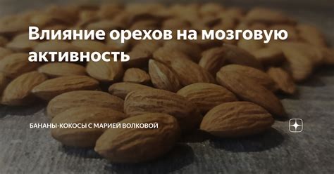 Влияние ритмики на мозговую активность