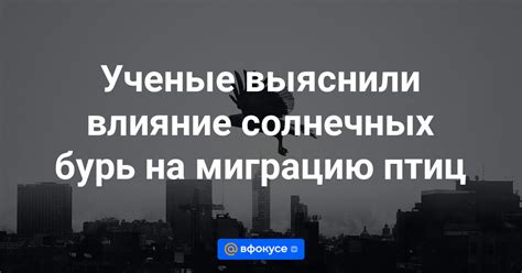 Влияние светового дня на миграцию