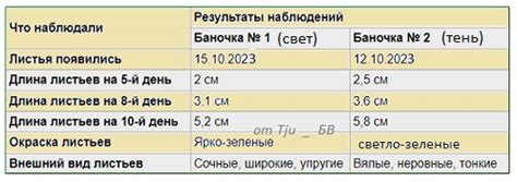 Влияние скрытия аватарок на игровой опыт