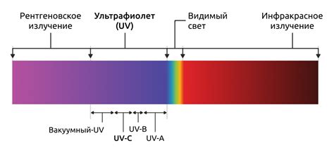 Влияние солнца и ультрафиолетового излучения