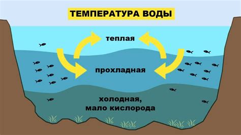 Влияние температуры воды