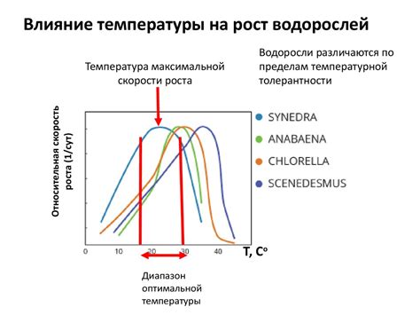 Влияние температуры на консистенцию ПВА