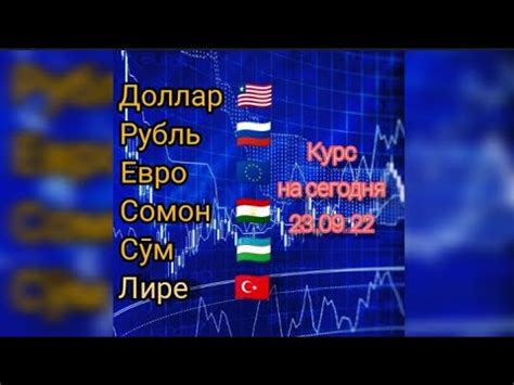 Влияние торгово-экономических отношений на курс валюты