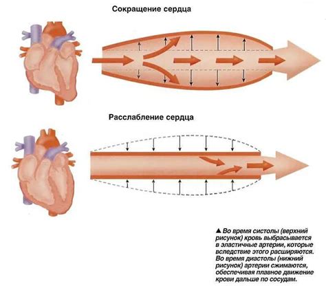 Влияние увеличенного отдаления камеры на игровые механики