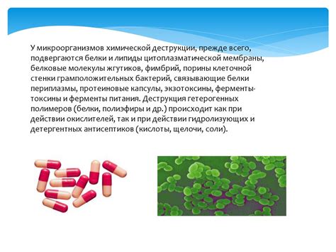 Влияние физических факторов на голос у мальчиков