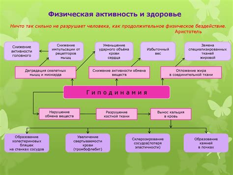 Влияние физической активности на внимание