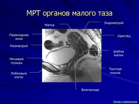 Влияние ходьбы на принцип работы таза