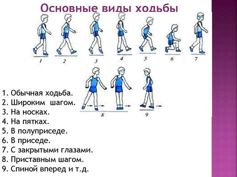 Влияние человеческой активности на эхолокацию животных