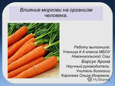 Влияние чрезмерного потребления моркови на организм