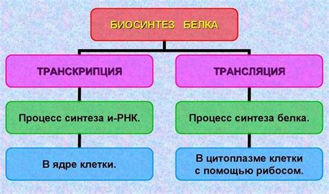 Влияние этапов заряжения белка на его физические свойства