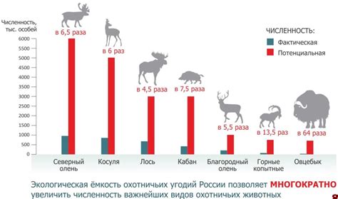 Внедрение биологического противника для уменьшения популяции виверн