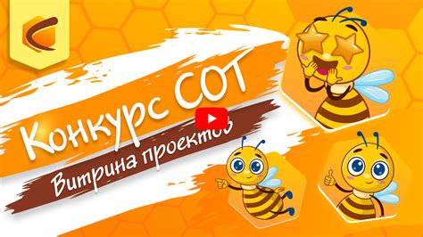 Внедрение системы учета и отчетности