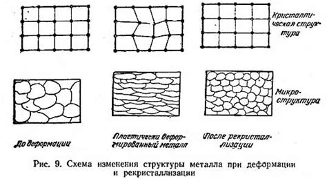 Внешний вид и форма зерен