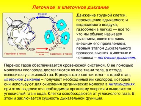 Вовлечение в клеточное движение