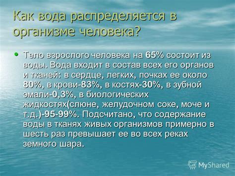 Вода в крови: как она распределяется и как может повлиять на организм