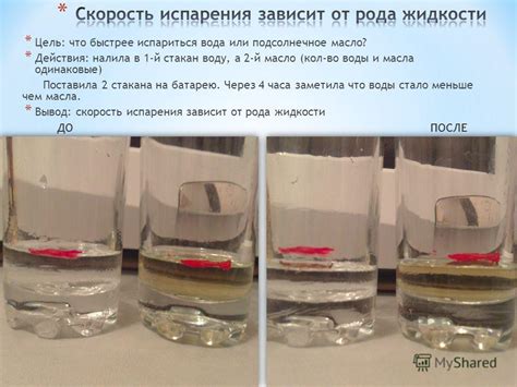 Вода и масло подсолнечное: что быстрее нагреется?