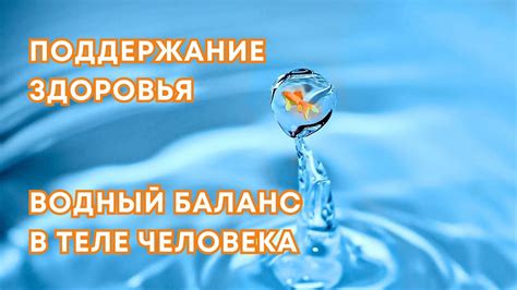 Вода и обезвоживание